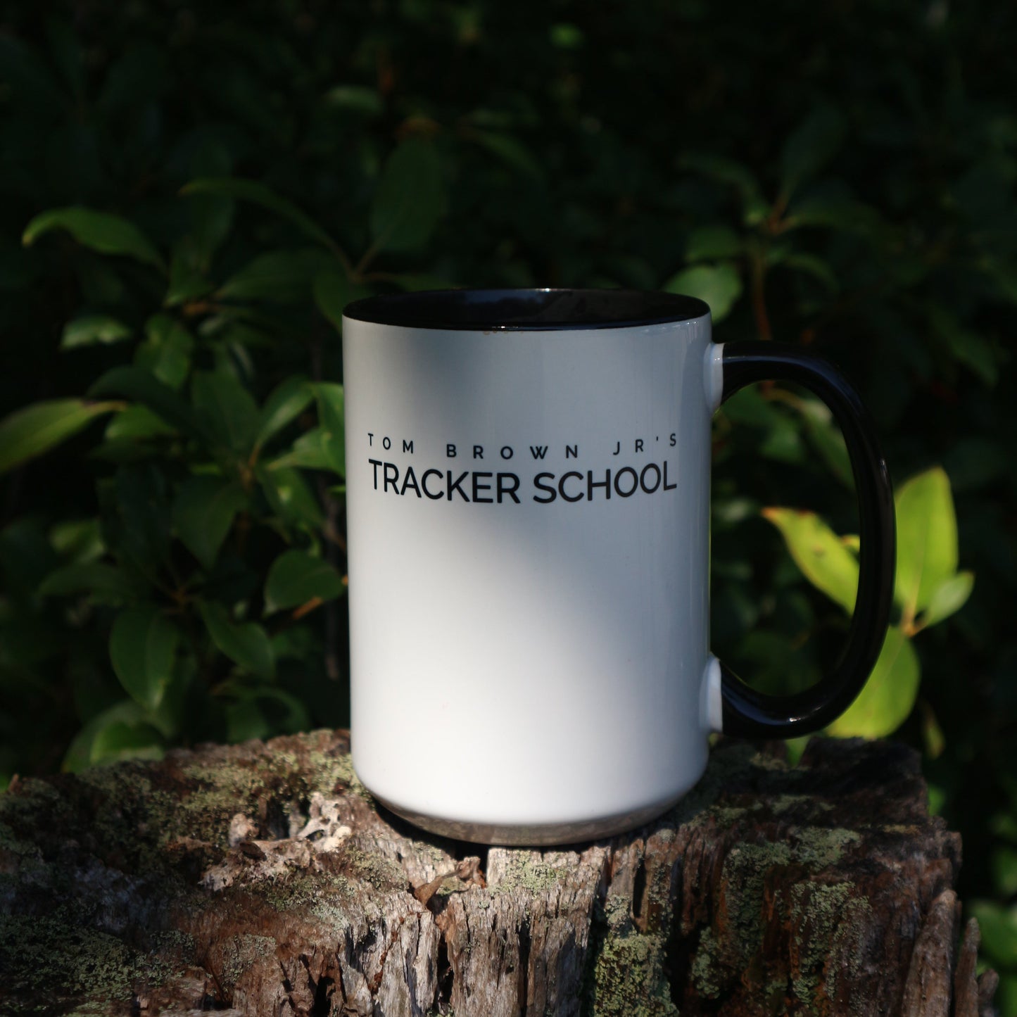 Shield Coffee Mug