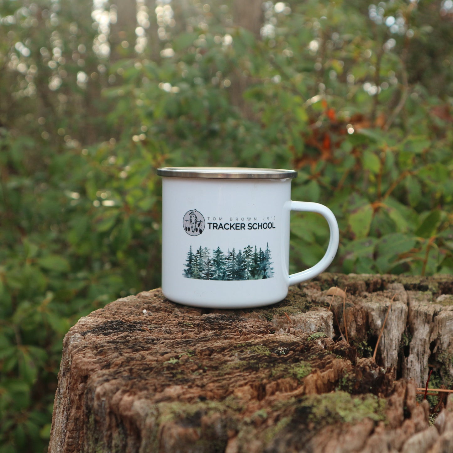 Enamel Mug