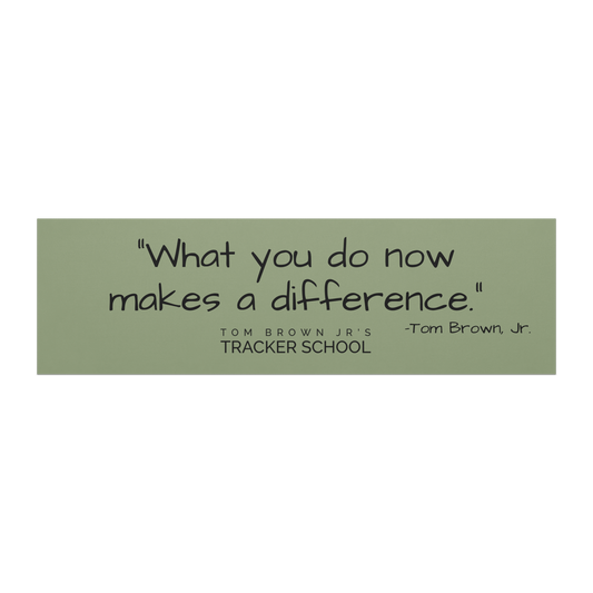 Make a difference car magnet